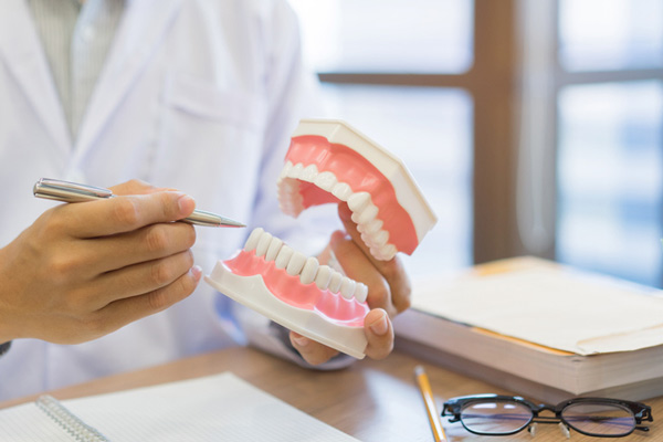 Doctor using model teeth to highlight the causes of gum disease at Martin Periodontics in Mason & North Cincinnati, OH